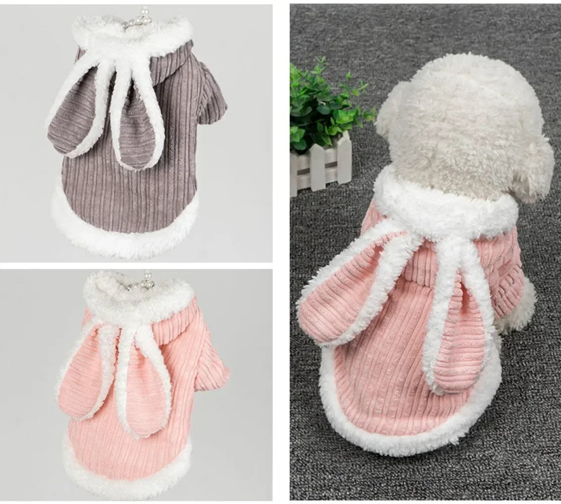 Lovable Cat Clothes Pet Autumn and Winterb Small Dog Kitten Two Legged Clothes Cat Puppy Warm Clothes Pet Costume Hairless Cat