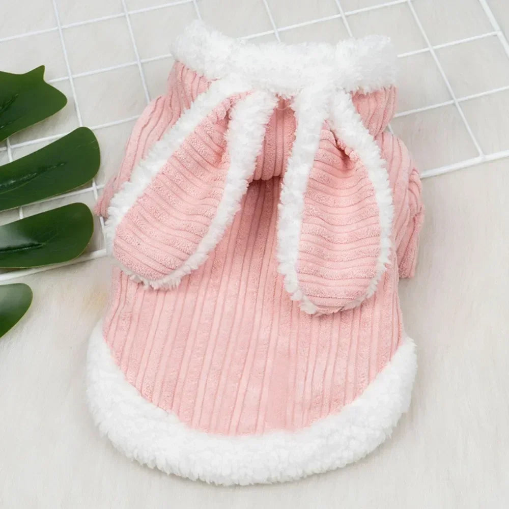 Lovable Cat Clothes Pet Autumn and Winterb Small Dog Kitten Two Legged Clothes Cat Puppy Warm Clothes Pet Costume Hairless Cat